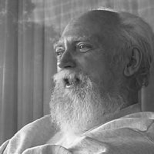 photo of Robert Anton Wilson